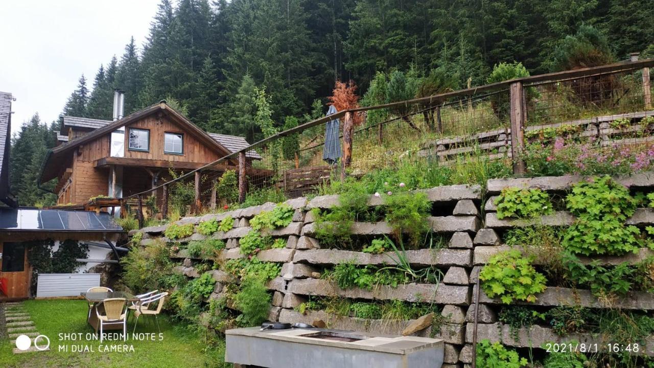 Chalet Steiermark Pusterwald Exterior photo